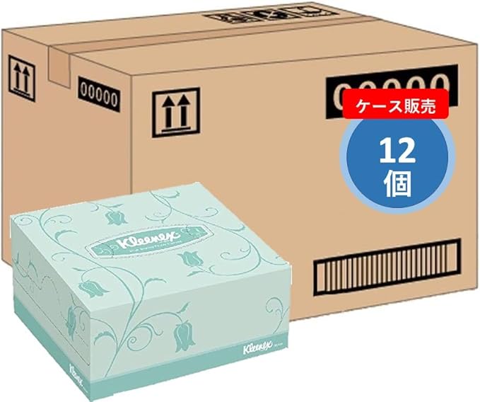 ティッシュ 100組×12個